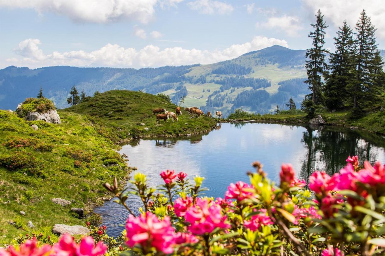 Haus Daniela Hotell Wildschoenau Eksteriør bilde